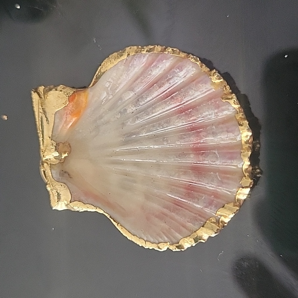Seashells Dipped In 18k Gold - image 2